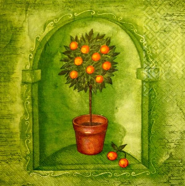 073 Lemons,  Oranges - 3 ply (grün)